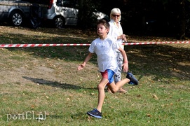 W pogoni za Bażantem