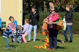 Dmuchawce, latawce, wiatr…