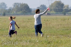 Dmuchawce, latawce, wiatr…