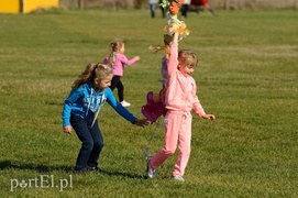 Dmuchawce, latawce, wiatr…