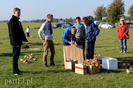 Dmuchawce, latawce, wiatr…