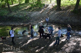 Pobiegli na sześć łap