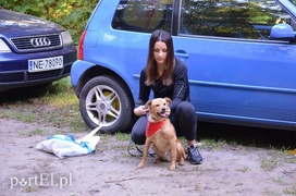 Pobiegli na sześć łap