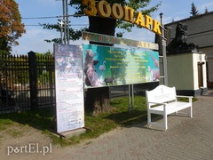 Kaliningrad szokuje cenami (korespondencja własna)