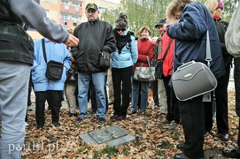 Tajemniczy park w sercu miasta