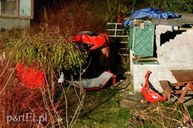 Fiestą wlecieli do ogródka działkowego
