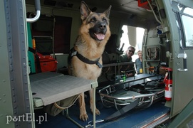 Lubię patrzeć na samoloty