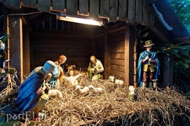 Skąd się wzięły szopki