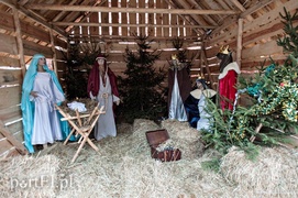 Skąd się wzięły szopki