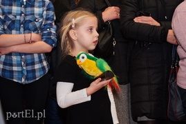Zwierzęta w Galerii na Wyspie