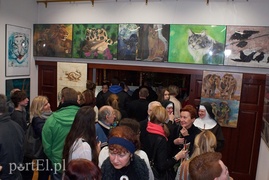 Zwierzęta w Galerii na Wyspie