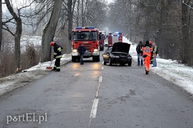 Dąbrowa Kolonia: oplem w dwa drzewa