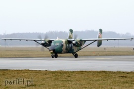 \"Odlotowi\" Belgowie w Królewie Malborskim
