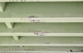 Wiadukt na Nowodworskiej do naprawy. Prace już ruszyły, wkrótce będą objazdy