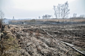 Groźny pożar traw