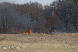 Płonęły trawy w Kadynach