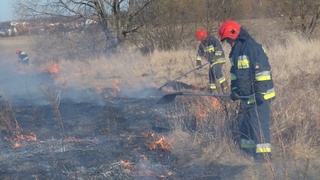 Groźny pożar traw na przedmieściach