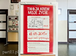 W gastronomiku popłynęły litry krwi