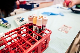 W gastronomiku popłynęły litry krwi