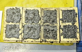 Niech się mury pną do góry, czyli jak młodzież mieszała w betonie