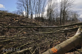Rusza budowa kolejnego zakładu na Modrzewinie