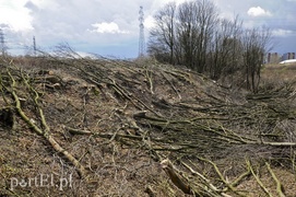 Rusza budowa kolejnego zakładu na Modrzewinie