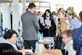 650 ofert na targach pracy
