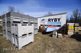 Tramwaj wodny nie dla Elbląga