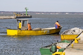 Tramwaj wodny nie dla Elbląga