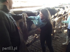 Już dziś wybierz zawód!