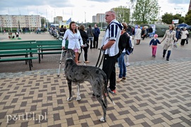 Łapy, łapy, cztery łapy...