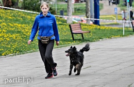 Łapy, łapy, cztery łapy...