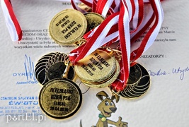 Łapy, łapy, cztery łapy...