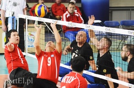 Elbląg i Japonia ze złotymi medalami