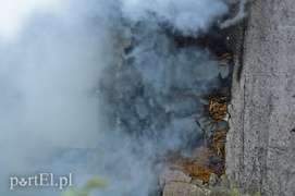 Spłonął pustostan przy ul. Dojazdowej