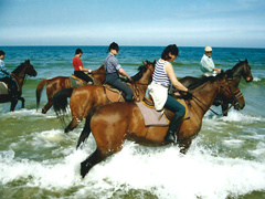 40 lat rajdów konnych Elbląskiego Klubu Jeździeckiego