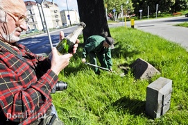 Pomniki przesunięte, skarbów nie znaleziono