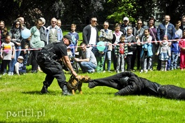 Piegusowe szaleństwo w parku Modrzewie