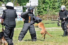 Policja kontra kibice na stadionie