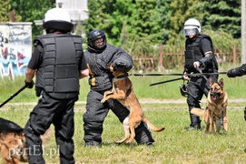 Policja kontra kibice na stadionie