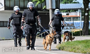 Policja kontra kibice na stadionie