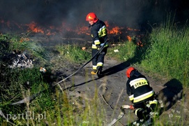 Pożar dzikiego wysypiska