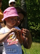 Dziergają panie, panowie się wstydzą  (Elblążanie z pasją, odcinek 44)