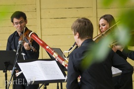 Mozart na 5