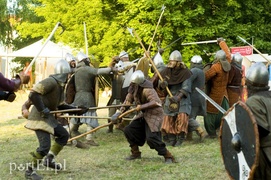 Wyspa Spichrzów siedzibą Wikingów