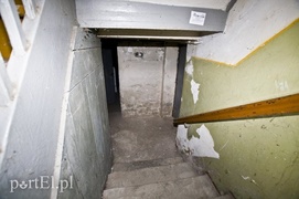 To porządna rodzina. Warto jej pomóc!