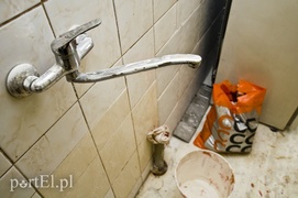 To porządna rodzina. Warto jej pomóc!