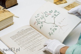 Nakarm duszę w Bibliotece