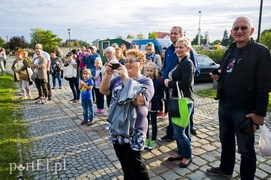 Jak von Balk Elbląg zakładał