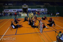 Elbląg Cup, czyli wyjątkowa atmosfera pod siatką